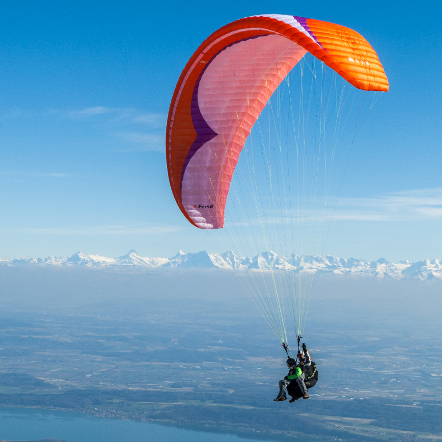 parapnedio